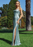 Ana Draped Cowl Neck Gown